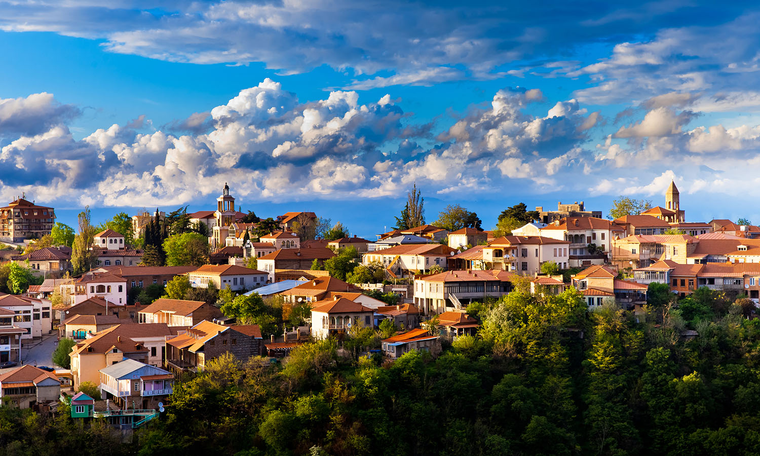 Secrets of the Delicacies of Georgian Cuisine for the Gourmets