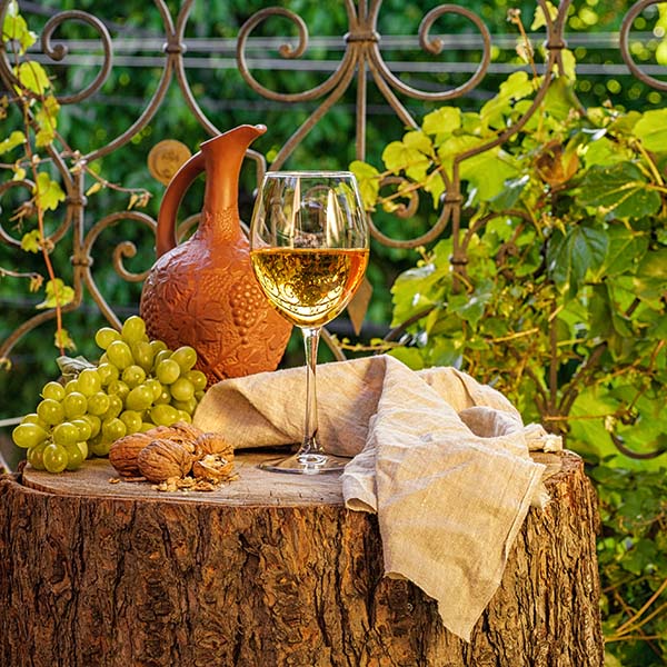 Tour of 16 Wines in the Native Land of the Wine