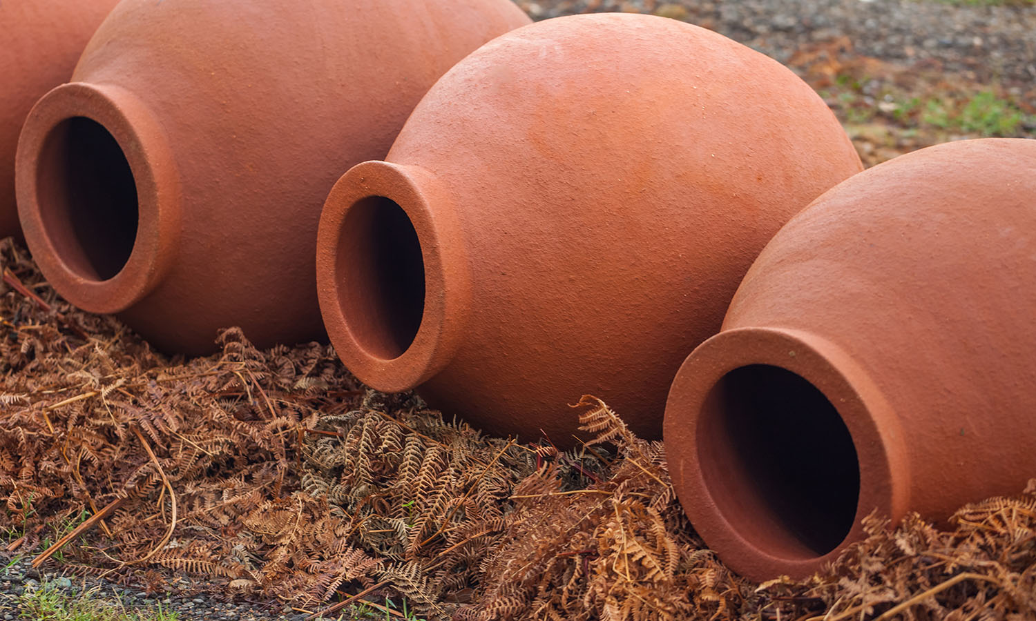 16 сортов вин на родине вина