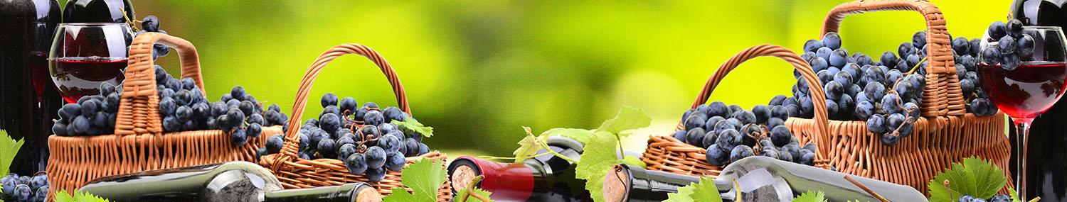 16 сортов вин на родине вина